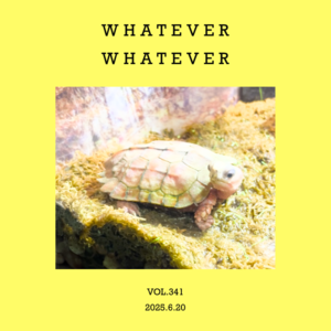 vol.341：摆烂的时候，听点什么？