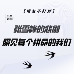 张雪峰的悲剧照见每个拼命的我们