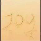Joy_rqda