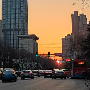 Vol093 为什么你放弃了人性，回避型反而爱上了你？｜收回期待，成为自己的光