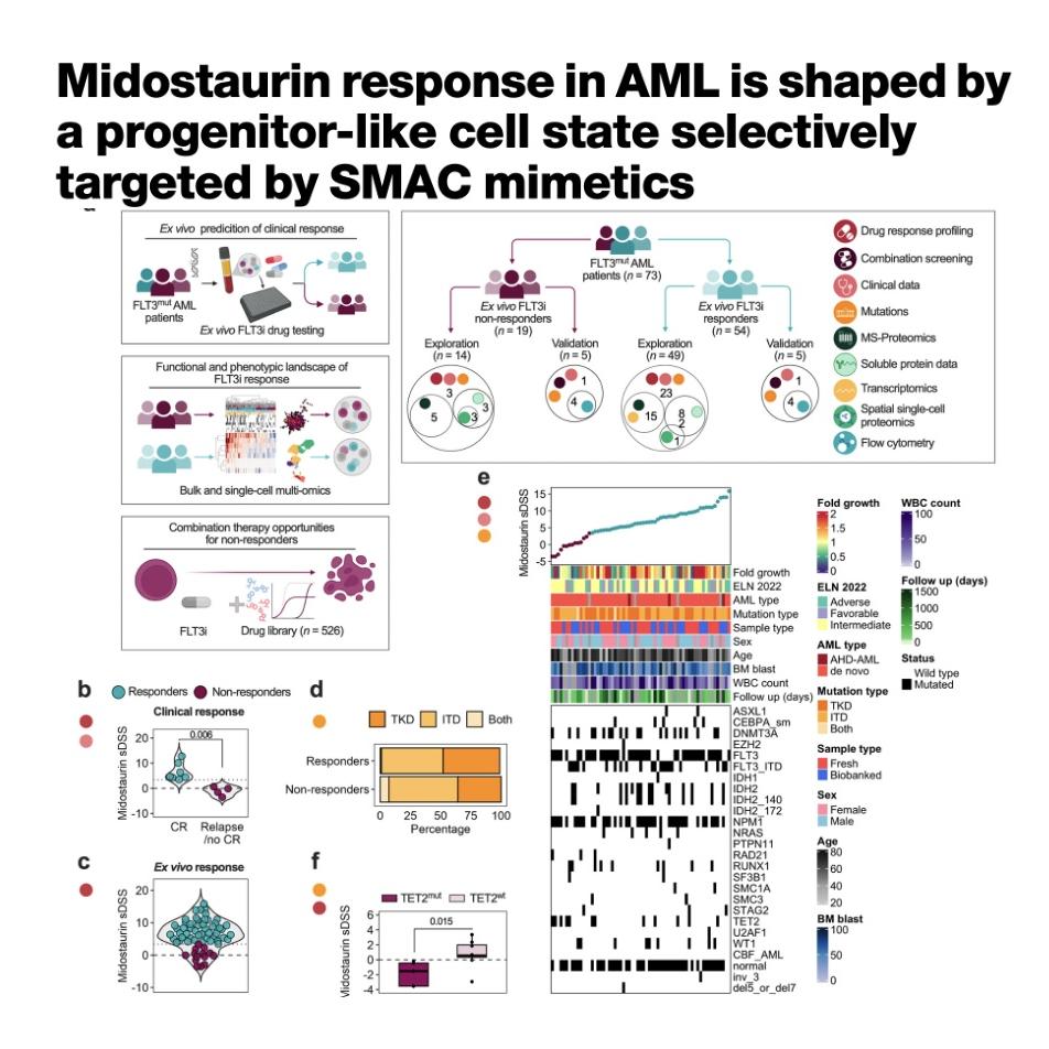 1259-Overcoming Midostaurin Resistance in AML episode artwork