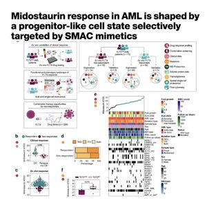 1259-米多妥英耐药与SMAC模拟物联合靶向治疗研究
