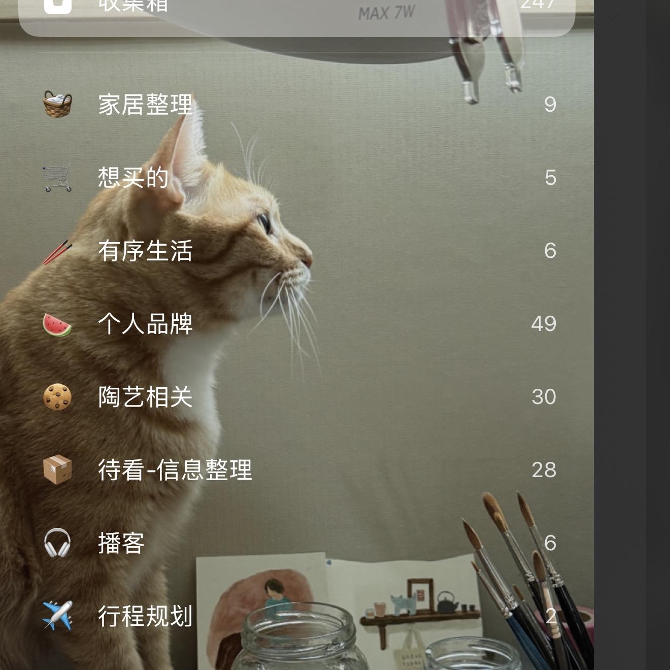 有望让 AI 接管我的电脑，让我信息整理自由吗 🍍 26.Jun.26 episode artwork