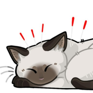 13 - 身心觉察 | 海外中医视角下的高敏感体质:如何不被“敏感”拖垮?