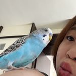 半夜叫你别回头