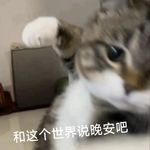 夏雨晨_VVch