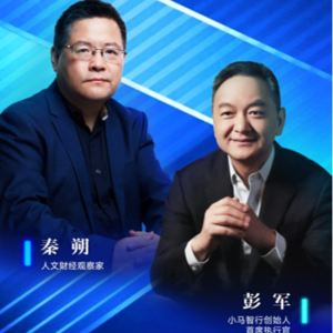 无人驾驶安全吗？公众接受度如何？|两说