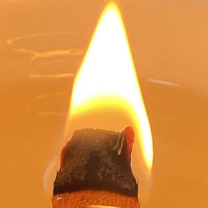 平淡生活里的一束光