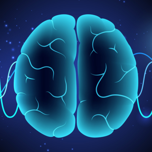 构建“氧-气耦合调控模型”