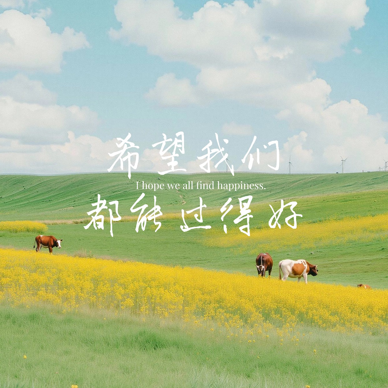 08 在微小处，重拾生活的力量 | 2025年治愈瞬间 episode artwork