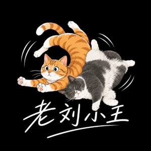 EP13.东北人使用说明