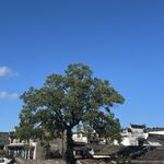 BenQin