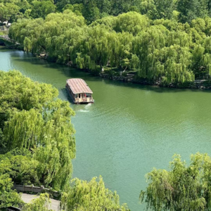 033.我的精神充电器:用热爱发电,让快乐满格!