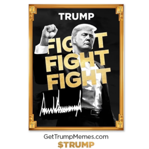 虚拟币：是新秩序还是一场空前的虚妄？丨和老金融人从川普meme币开始battle