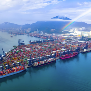 红土创新盐田港REIT2024年度业绩说明会丨REITs新视线