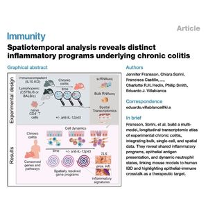1053-Spatiotemporal Transcriptomic Atlas of Chronic Colitis