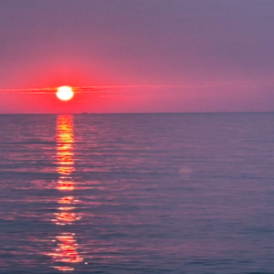 Vol.5·女孩们请大胆走出去：当我独自一人走过你的童年，我遇见了勇敢的自己