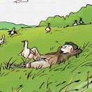 我兜里有袋橘子