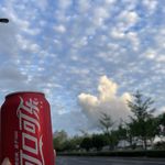 虎糊芋醒星蝶