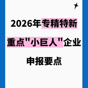 600w重点小巨人申报书该如何撰写?