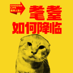 "耄耋如何降临？新时代厌猫情绪的诞生”