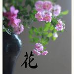 未名枝