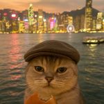 08年辽北农民火炬手是