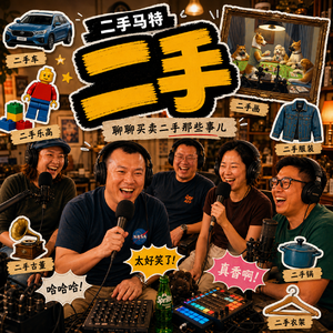 E20 - 二手马特聊二手