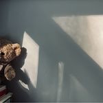 拾光小熊