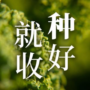 7｜种好就收｜种玉米·张洪炜｜一个14岁闯荡社会、手背纹身的“江湖小伙”，为何在田埂上一扎就是十一年？