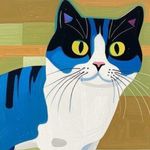 窗台上的一只猫