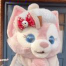 这兔子不吃胡萝卜