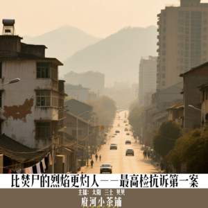 比焚尸的烈焰更灼人——最高检抗诉第一案