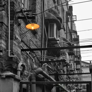 41.一枚血指纹：上海老弄堂旧案