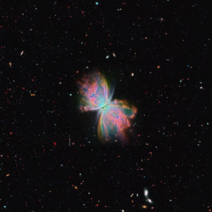 诗与胡说 |《我将宇宙随身携带》