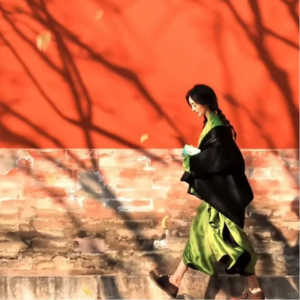 好好练功 久久为功