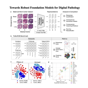 119-Towards Robust Foundation Models for Digital Pathology
