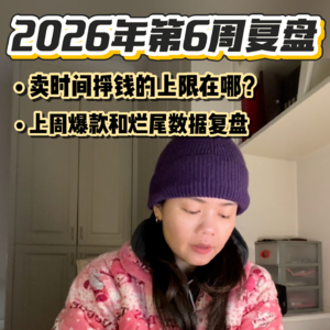 2026年第6周复盘｜2.1-2.8卖时间挣钱的上限与必爆内容的Keys