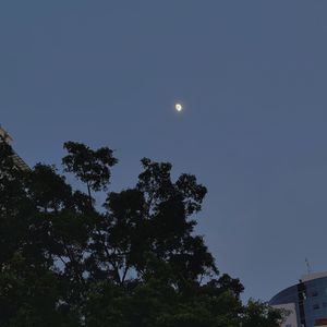 EP14.真正的快乐，不是拥有很多，而是需要很少 |《哲学的慰藉》