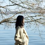 一颗沙发土豆