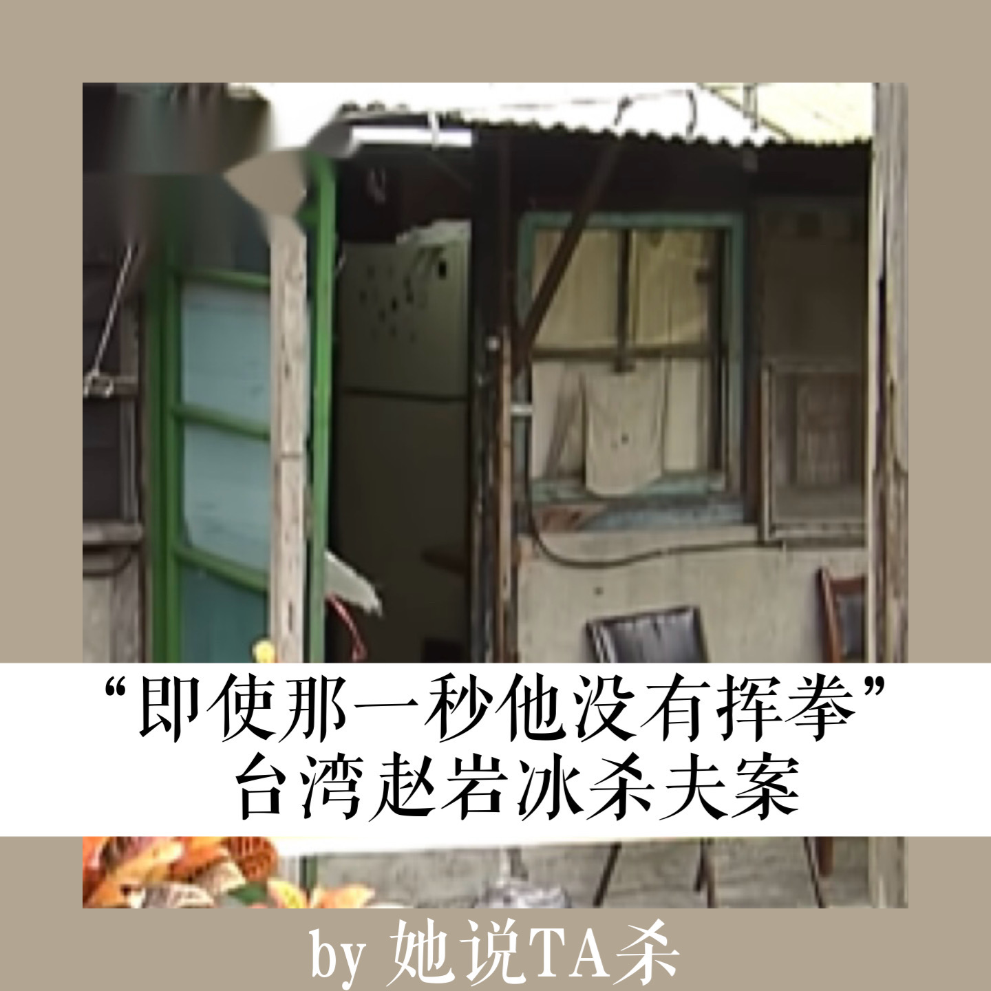 19. 即使“那一秒他没有挥拳”：赵岩冰杀夫案 episode artwork