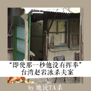 19. 即使“那一秒他没有挥拳”：赵岩冰杀夫案