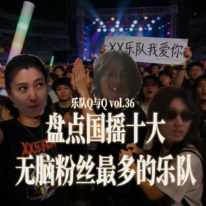 vol.36 盘点十大“无脑粉丝”最多的国摇乐队/音乐人