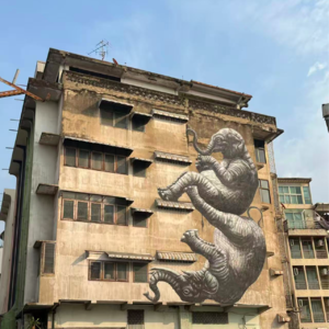 S3E4 泰好玩了，下次还带爸妈吗？ 泰国出行手册