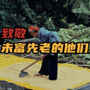农民养老金和那份没有收据的社保