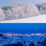 HD241973y