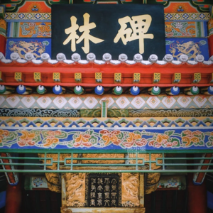 027：千年碑林·初唐双璧：褚遂良与欧阳询的楷书之道