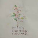 巧巧_8VHP