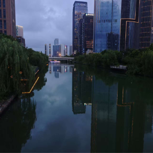 EP03 城市独居者的生活日记