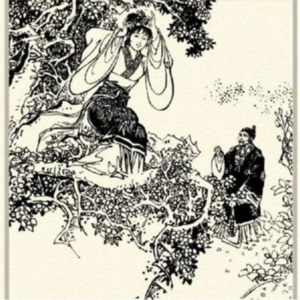 Vol.18《聊斋志异》下｜人间鬼话 风月无边